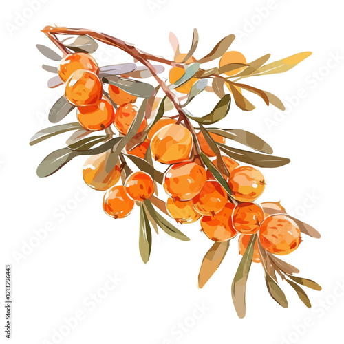 Sea Buckthorn Plant with Fruit | Vibrant Watercolor Flat Vector Illustration.  
