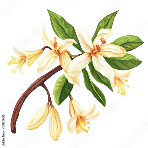 Vanilla Vine with Fruit – Watercolor Illustration, Botanical Art, Fruit-bearing Plant Painting, Nature-inspired Artwork, Vibrant Watercolor Vine with Vanilla Pods
