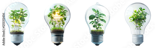Collection of Light Bulbs with Plants Isolated on Transparent Background