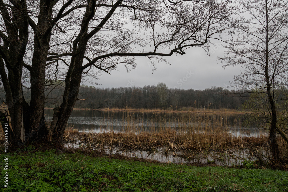 Cloudy spring day on river nature Cloudy spring day on river nature