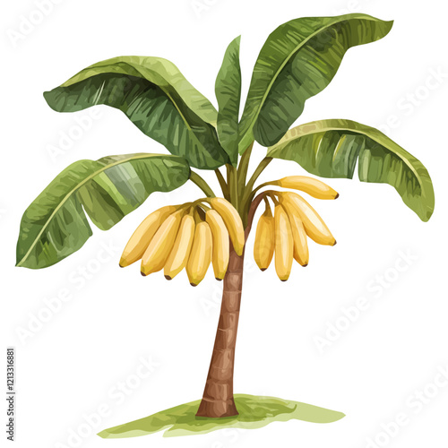 Wild Banana Tree with Fruit – A Lush and Detailed Vector Illustration in Watercolor Flat Style
