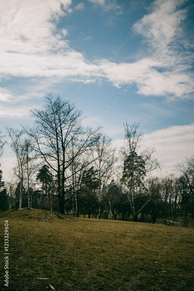 Open park landscape with bare trees, grassy field, and bright blue sky on a spring evening.
Open park landscape with bare trees, grassy field, and bright blue sky on a spring evening.