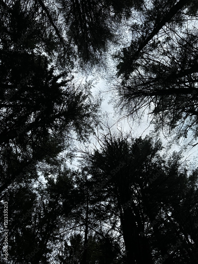 Obraz premium Camping on 2 wheels