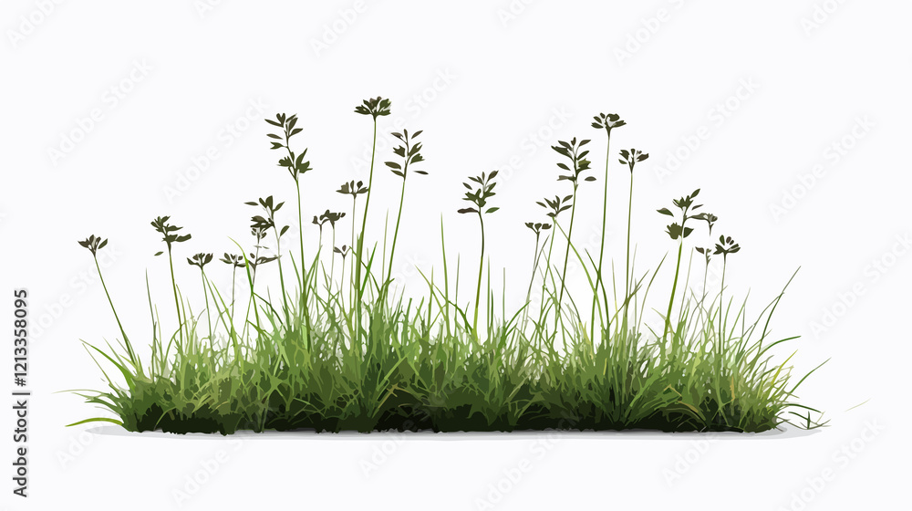 Fototapeta premium Plant sown over white background - Beautiful nature concept for design projects