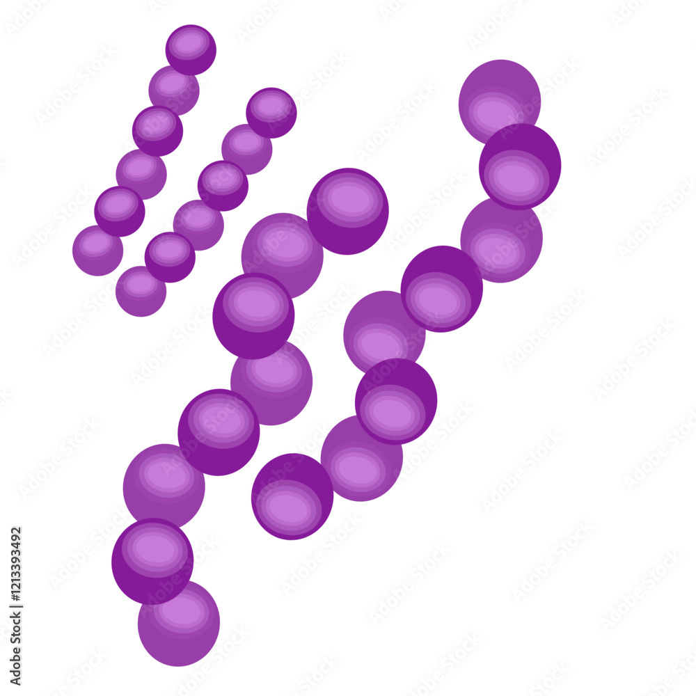 custom made wallpaper toronto digitalStreptococcus pneumoniae bacteria