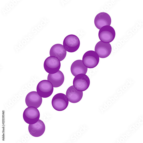 Streptococcus pneumoniae bacteria
