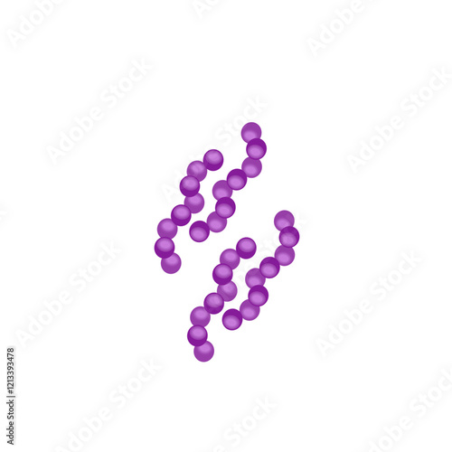 Streptococcus pneumoniae bacteria