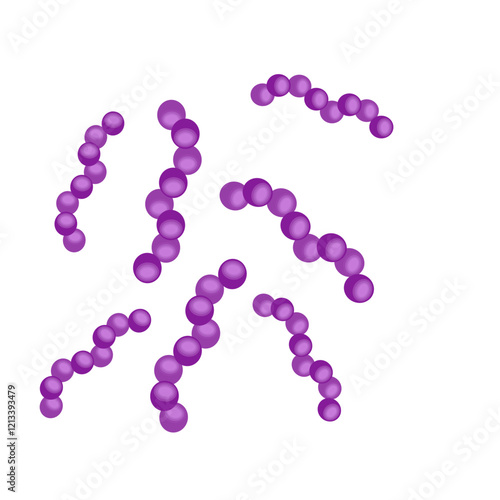 Streptococcus pneumoniae bacteria
