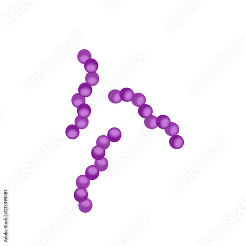 Streptococcus pneumoniae bacteria