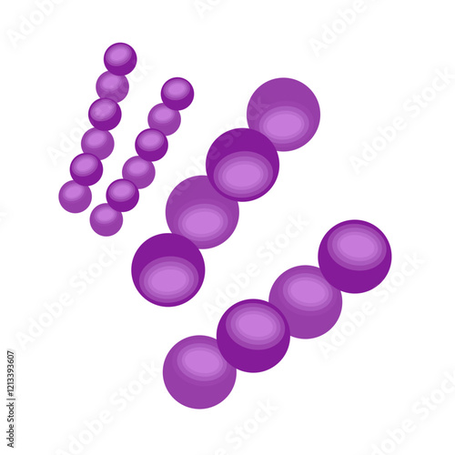 Streptococcus pneumoniae bacteria