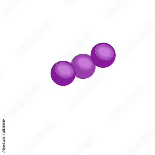 Streptococcus pneumoniae bacteria