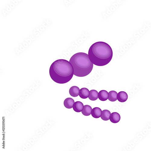 Streptococcus pneumoniae bacteria