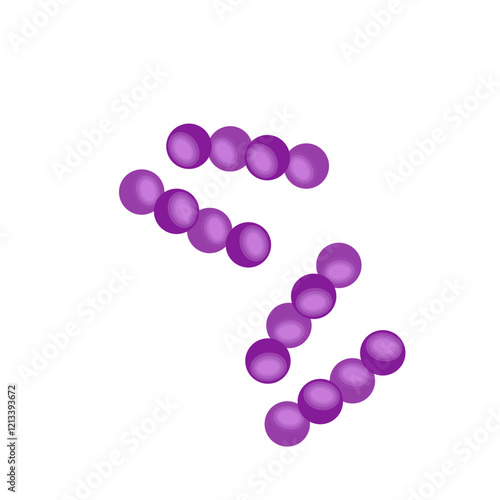 Streptococcus pneumoniae bacteria