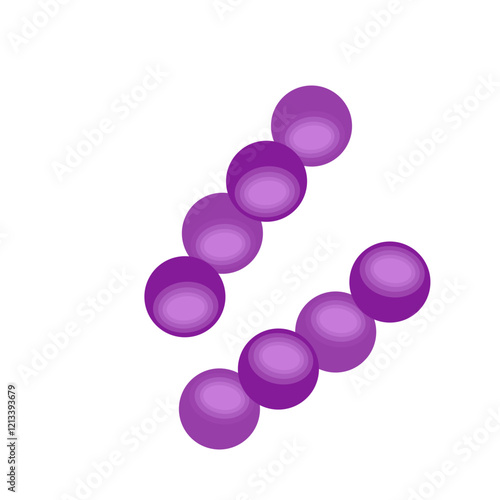 Streptococcus pneumoniae bacteria