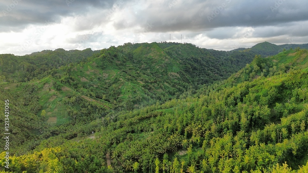 Naklejka premium Drone view of hills and trees with footpath at Silancur Hill, Kebumen, Central Java, Indonesia