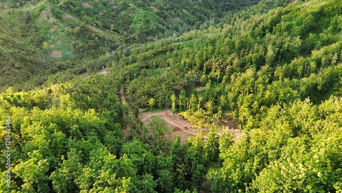 Drone view of hills and trees with footpath at Silancur Hill, Kebumen, Central Java, Indonesia photo