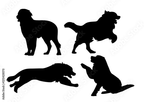 set dog silhouette vector Bernese Mountain Dog