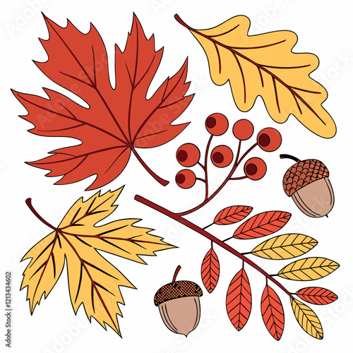 autumn leaves background