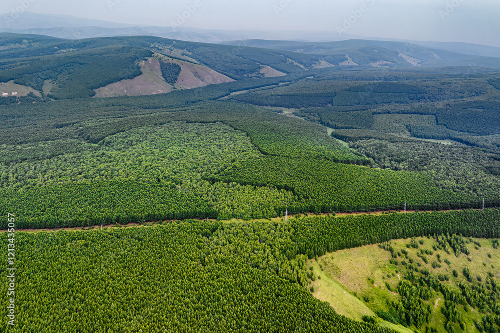 Naklejka premium Arxan National Forest Park, Xing'an League, Inner Mongolia, China