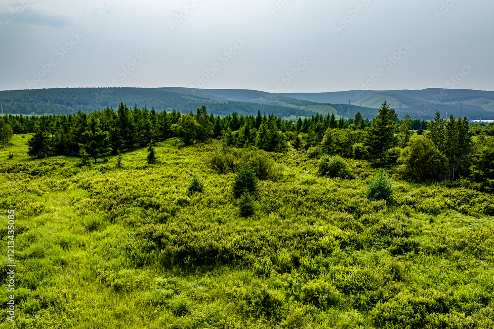 Obraz premium Arxan National Forest Park, Xing'an League, Inner Mongolia, China