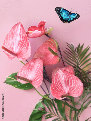 Anthuriums roses et papillon bleu