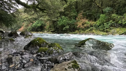 The Hollyford River, Water flowing over rocks
Fiordland National Park, South Island, New Zealand photo