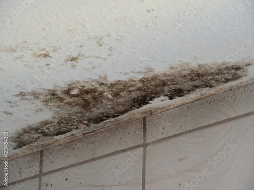 Mold Growth on Ceiling in Damp Indoor Space
