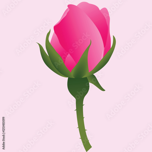 Realistic Natural Rose Vector Illustration photo