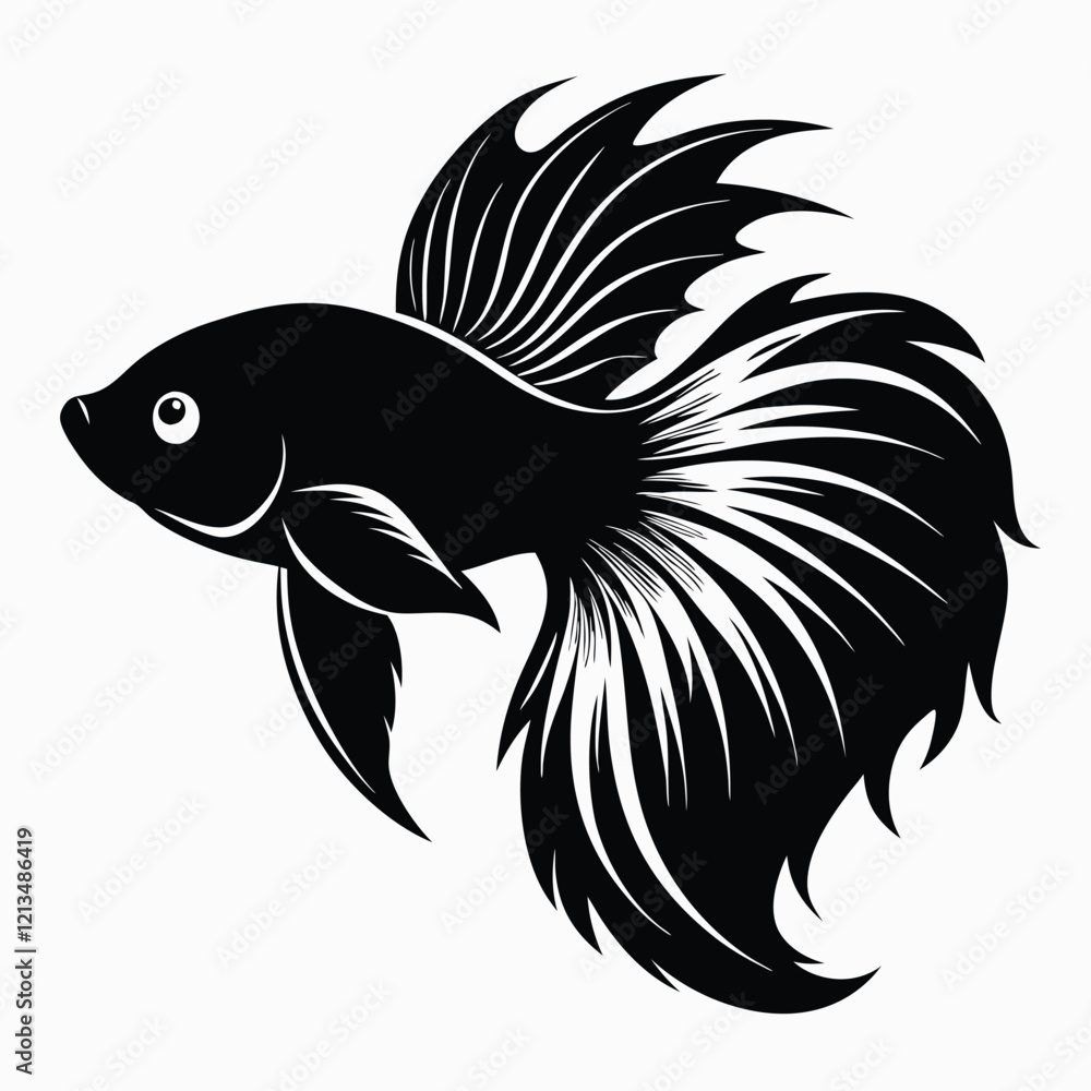 Betta fish silhouette isolated in White background
