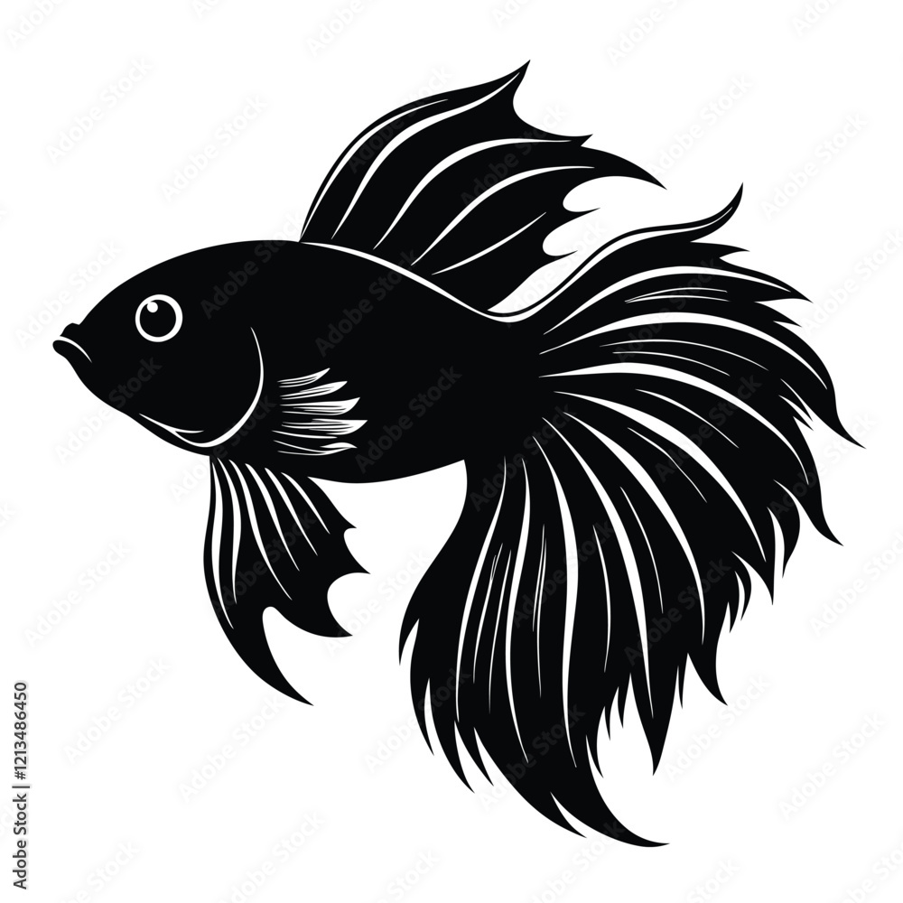 Obraz premium Betta fish silhouette isolated in White background