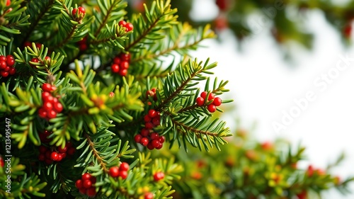 Juniper Bush with Lush Foliage - Stunning AI Image