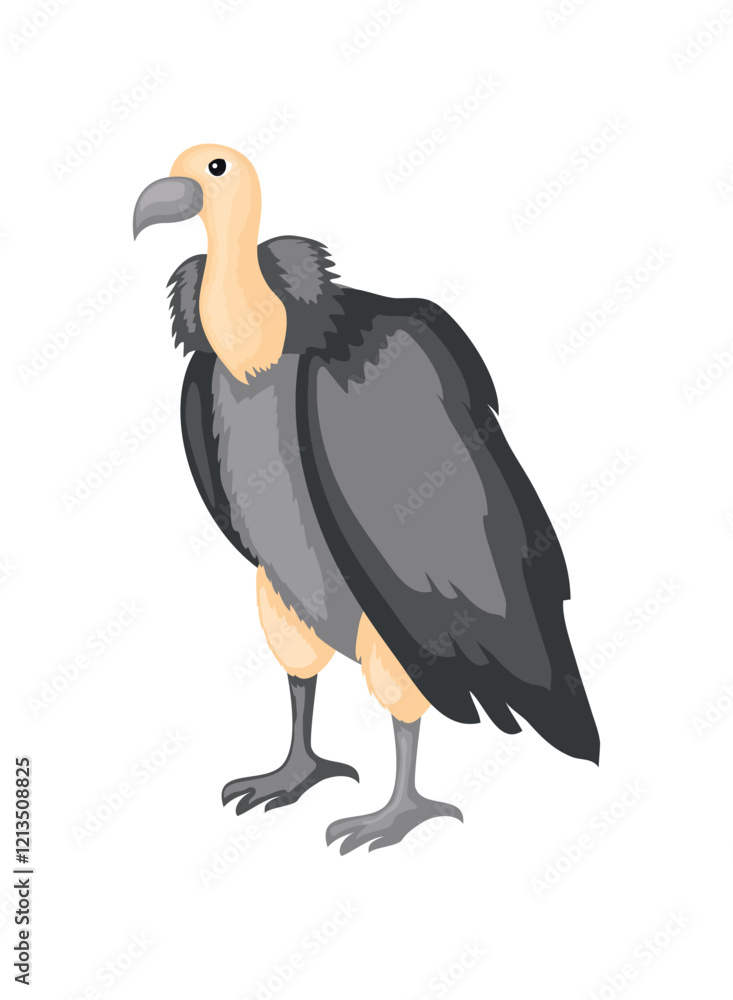Fototapeta premium vulture desert animal