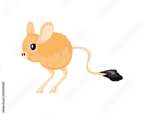 kangaroo rat desert animal