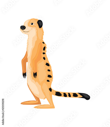 meerkat desert animal