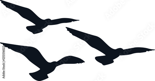 three silhouette bird  vector seagull