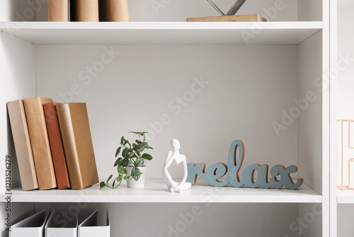 Shelf with books, houseplant and stylish decor, closeup photo