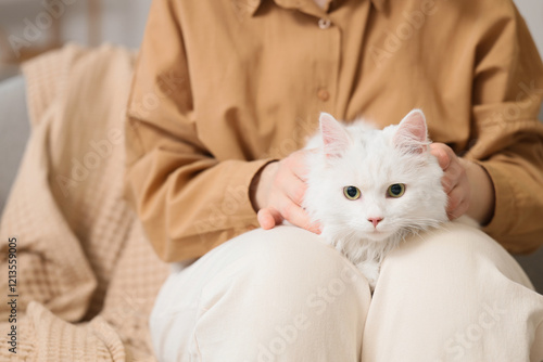 White fluffy cat sitting on...