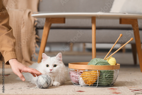 Woman with cute white cat a...