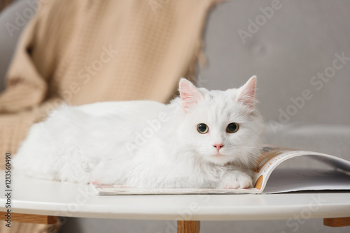 Cute white cat with magazin...