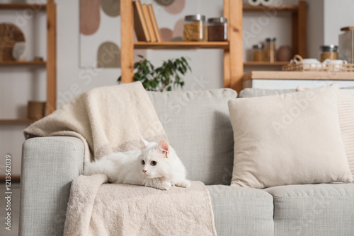 Cute white cat with plaid l...