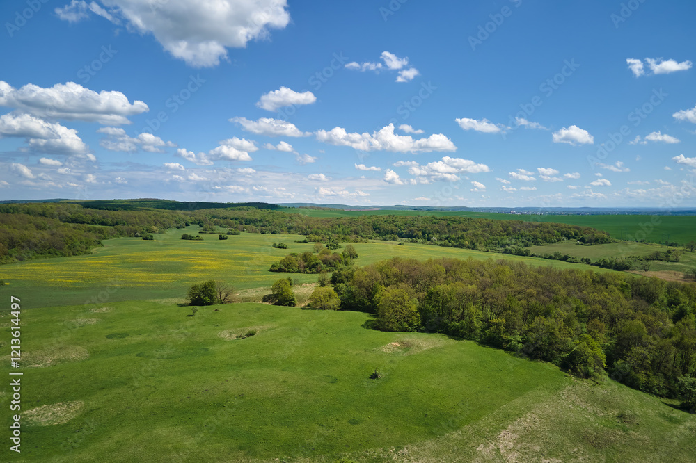 Green agricultural field with growing crops in summer season. Farming and agriculture industry Green agricultural field with growing crops in summer season. Farming and agriculture industry