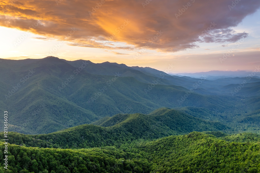 Naklejka premium Morning landscape of Mount Mitchell and summer forest on Appalachian mountain hills in North Carolina. Summertime landscape of beautiful nature