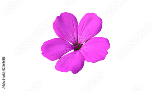 Pink flower blossom, isolated, vibrant, graphic design element