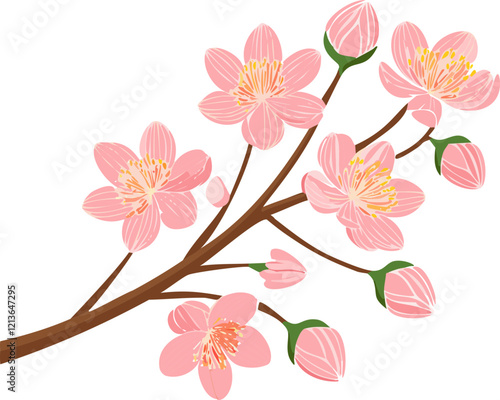flower, 분홍, 블로섬, 봄, 네이처, 나무, flower, 개화, 가지, 개화, 미, 식물, 백, 사과, 뜰, 버찌, 식물, 꽃, 근접, 매크로, 사쿠라, 고립시키는, 난초, 계절, 벚꽃 일러스트, 벚꽃