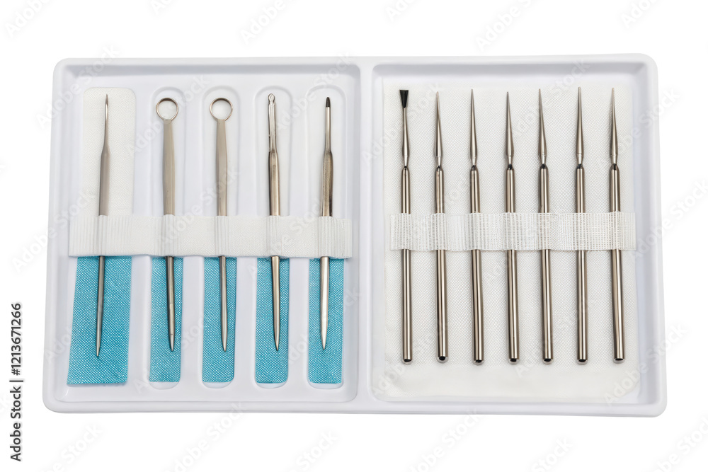 Set of dental tools in a plastic tray isolated with transparent background Set of dental tools in a plastic tray isolated with transparent background