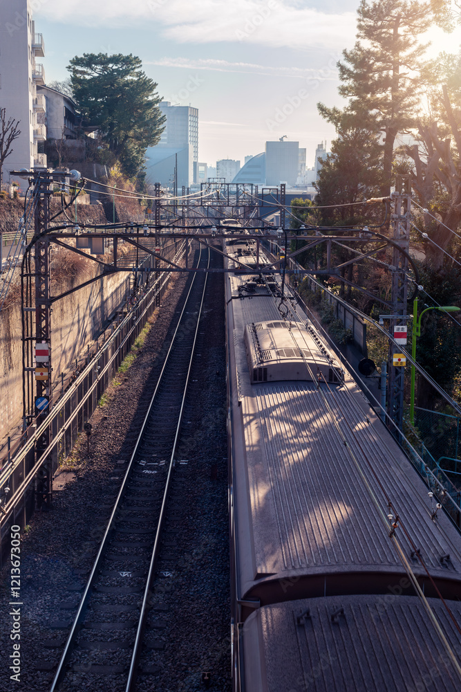 Fototapeta premium 夕日に照らされる線路と電車