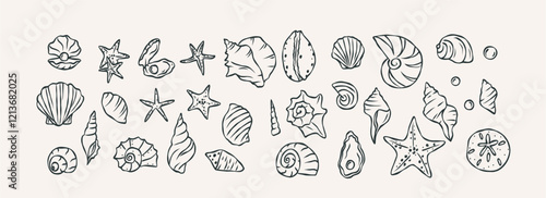 Hand drawn shells collection. Whimsical illustration