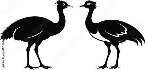 Houbara Bustard Silhouette Icon Set - Black Vector Illustration. photo