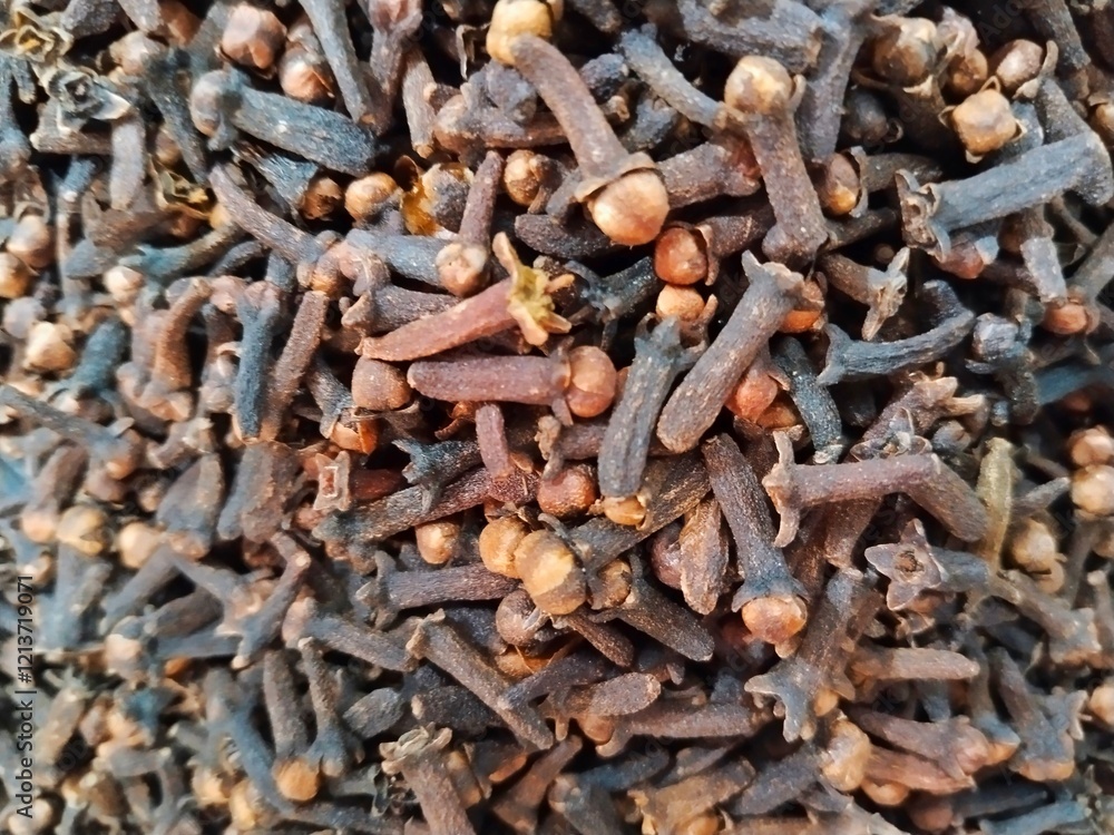 Cloves, Syzygium aromaticum, are aromatic dried flower buds of the Myrtaceae fam. Widely used as a spice in spicy dishes in European countries and as the main ingredient in Indonesian kretek cigarette Cloves, Syzygium aromaticum, are aromatic dried flower buds of the Myrtaceae fam. Widely used as a spice in spicy dishes in European countries and as the main ingredient in Indonesian kretek cigarette