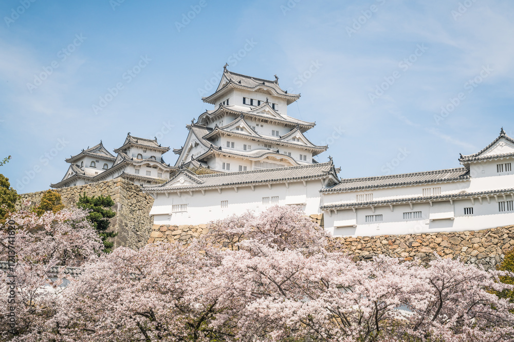Japanese castle Himeji Castle and cherry blossoms in spring background Japanese castle Himeji Castle and cherry blossoms in spring background